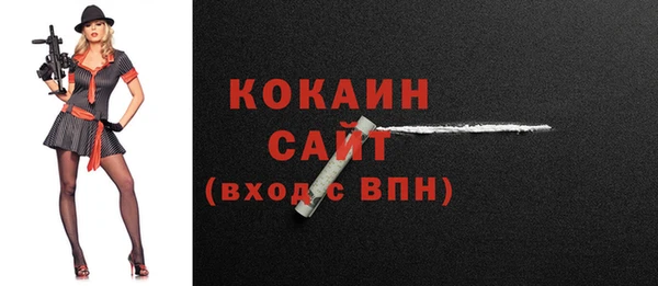 гидра Абаза