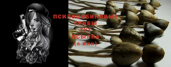 бутират Михайловка