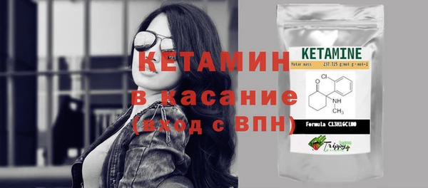 гидра Абаза