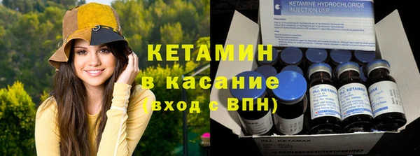 гидра Абаза