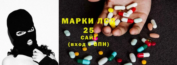 гидра Абаза