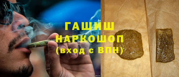 гидра Абаза