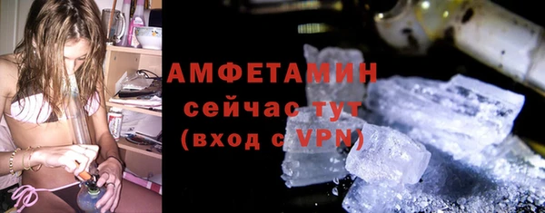 гидра Абаза