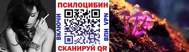 где купить наркотик  кракен   сайты даркнета какой сайт  Никольское  Галлюциногенные грибы Psilocybe 